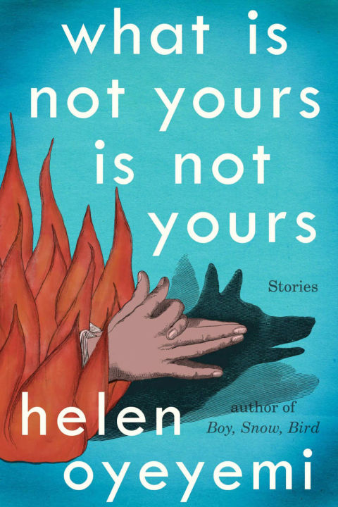 elle-best-books-of-the-year-what-is-not-yours-is-not-yours-by-helen-oyeyemi.jpg